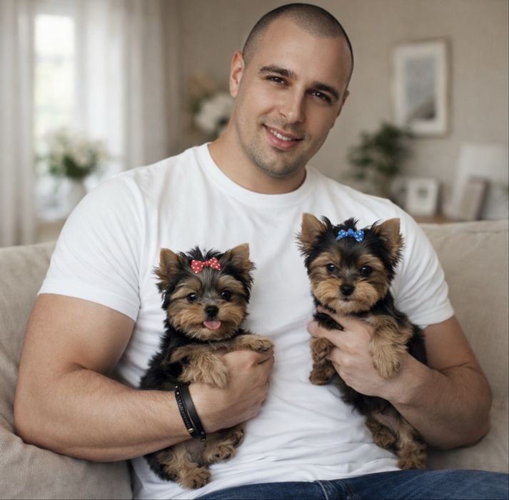 Йоркширский терьер мини