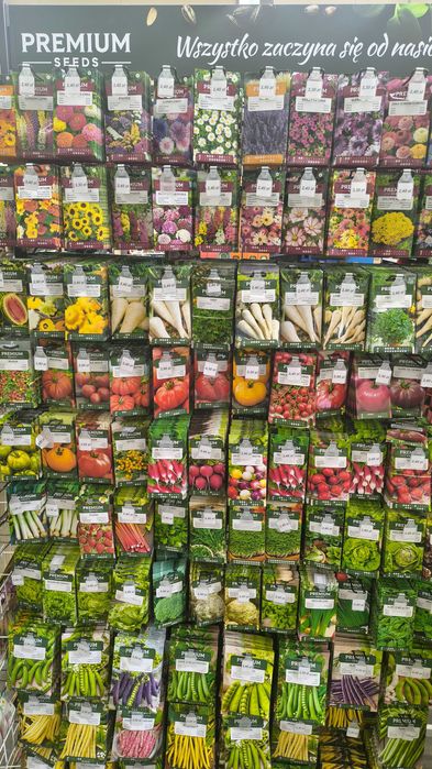 Nasiona ogórek, marchew, pietruszka warzywa i kwiaty