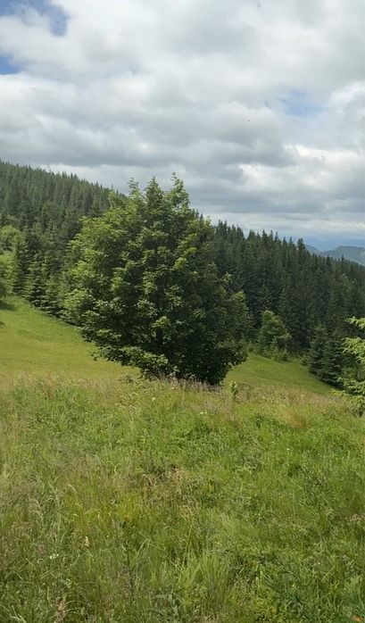 Ділянка далеко аід людей .