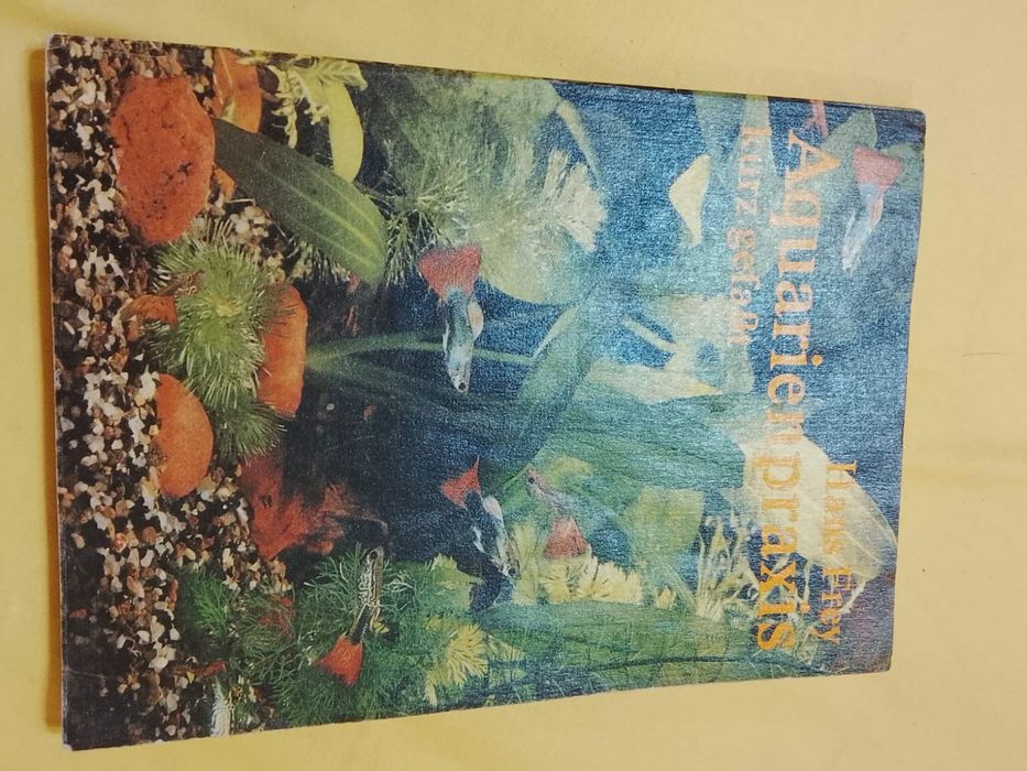 Аквариум. Всё с самого начала