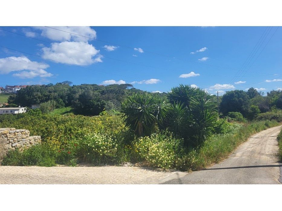 Terreno Rústico com 1.280 m² em Zona Tranquila e de Fácil Acesso