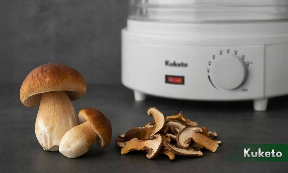 suszarka do grzybów owoców warzyw ziół spożywcza duża 5 sit mocna 500w