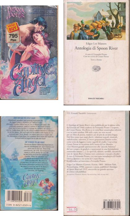 Livros em Língua Estrangeira – Castelhano, Francês, Inglês, Italiano