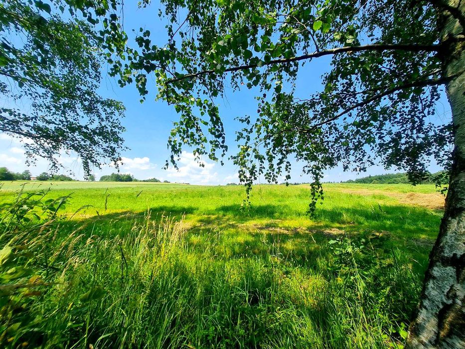 Siedlisko z domem i lasem, 3,10ha, Szerzyny, powiat tarnowski