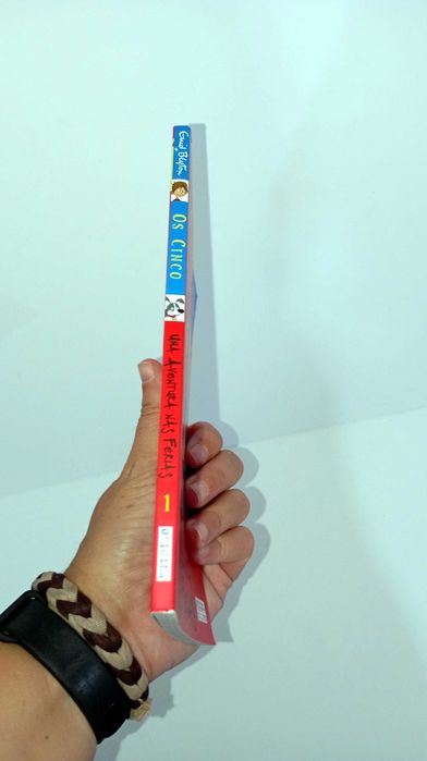 Uma Aventura nas férias - Os Mini Cinco