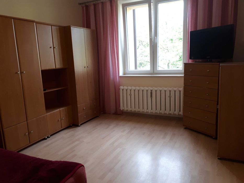 50 m2 w centrum do wynajęcia