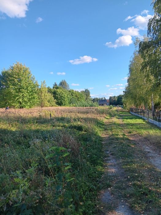 Działki 5 oraz 6 arów