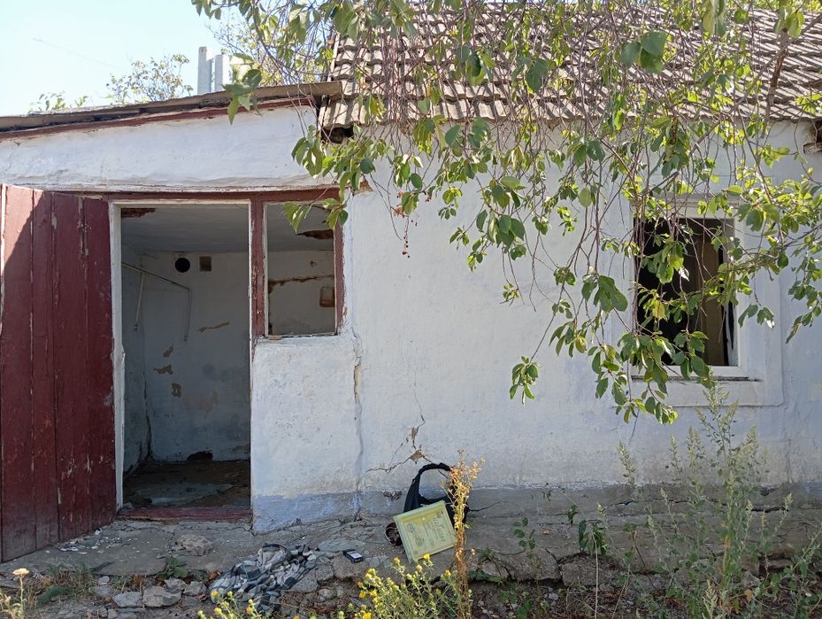 Продається будинок з господарськими будівлями