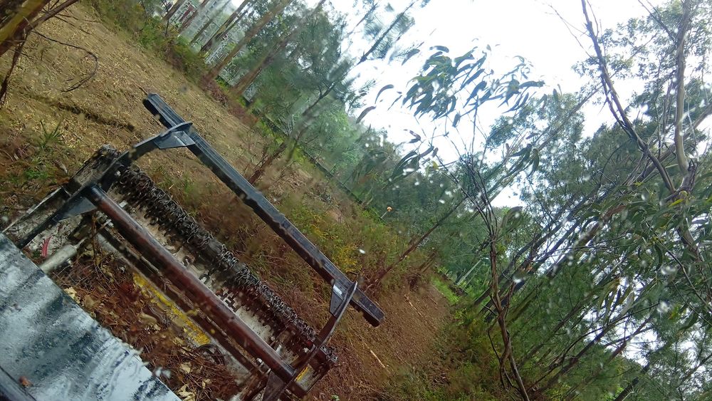 Limpeza de Terrenos Florestais · Abate de Árvores · Lenha · Jardinagem