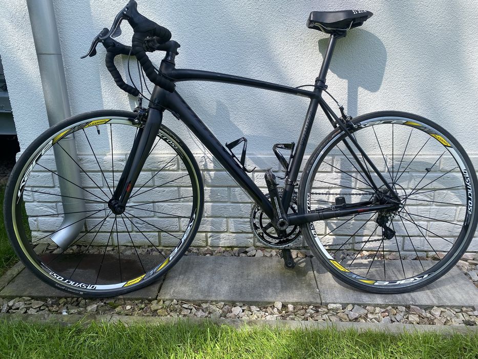 Specialized Allez Campagnolo 56cm. Rower szosowy