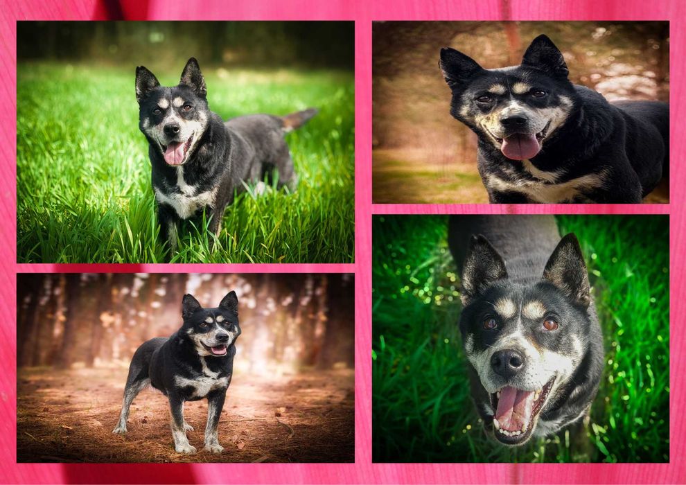 ANOE - marzy o nowym domu i rodzinie