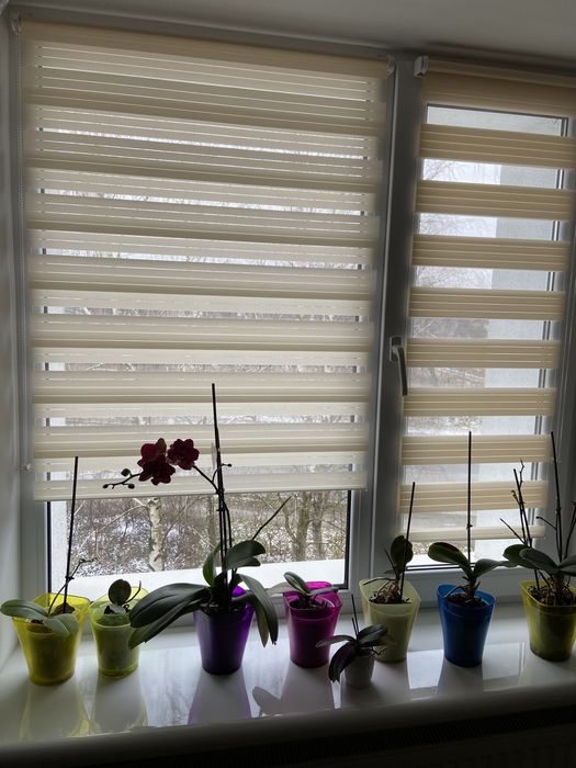 ЖАЛЮЗІ ТА РОЛЕТИ всіх видів. день ніч ,-30% До кінця зими