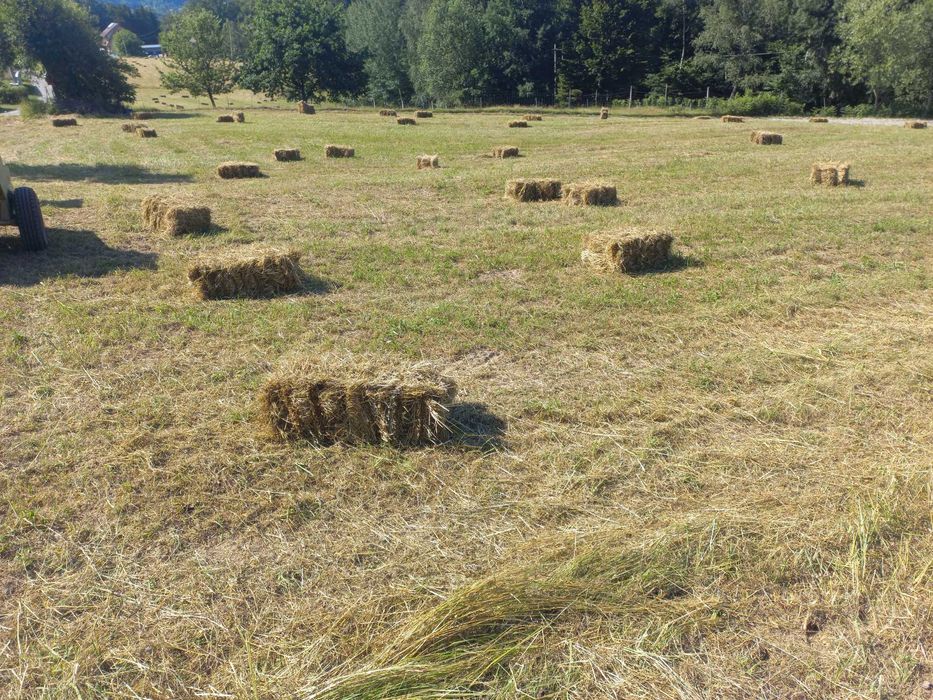 Sprzedam siano w kostkach