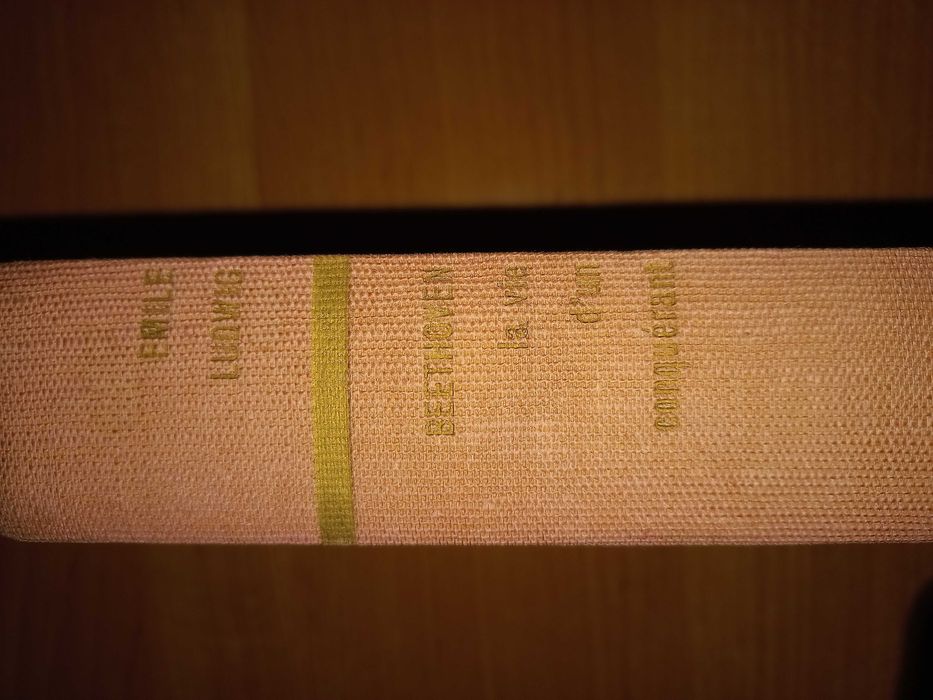 Beethoven. Biografia.