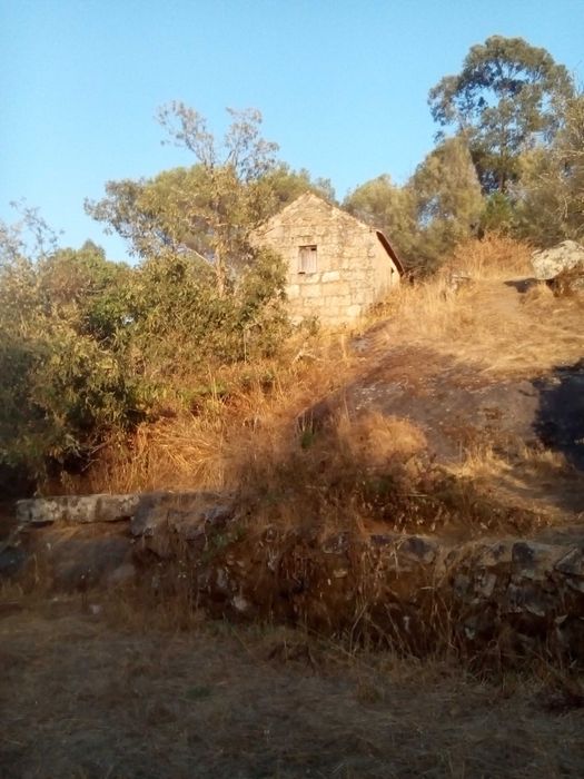 Quinta com ruina para recuperar! 1.3hec farm with granit house (ruin) Offgrid (Oliveira do Hospital)