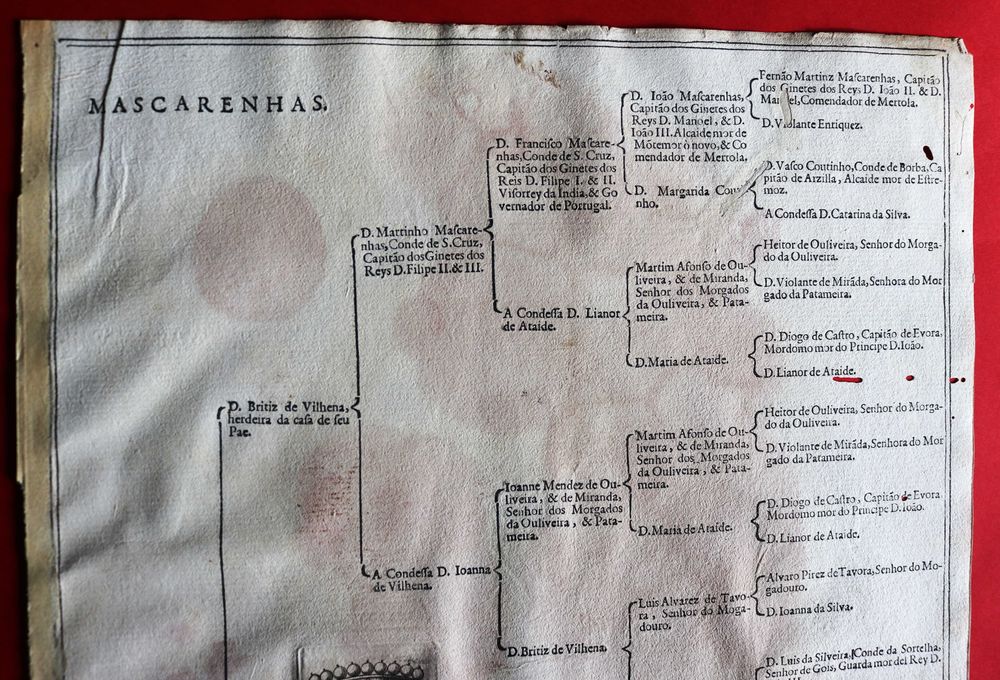 Mascarenhas, Condes de Santa Cruz 1623 árvore costados rara