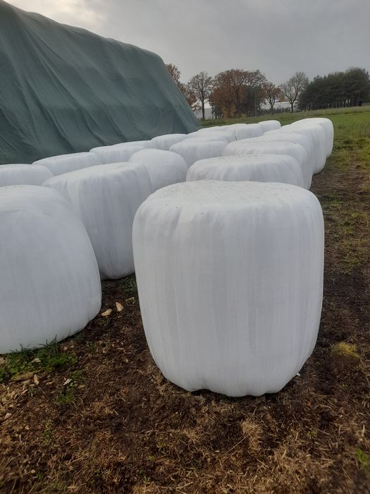 Sprzedam sianokiszonke