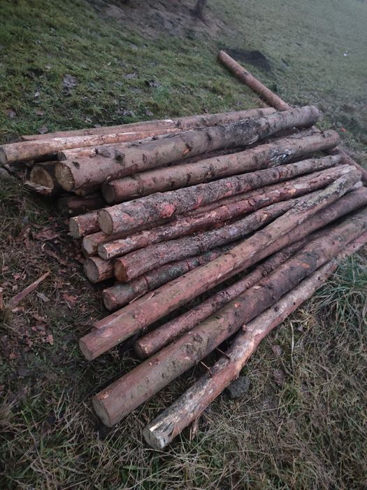 Słupki sosnowe, żerdzie