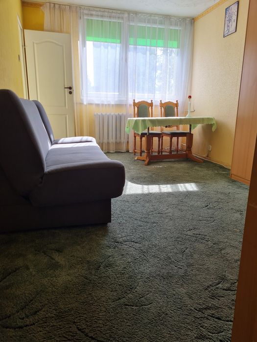 Apartment in Lubin - View 2
