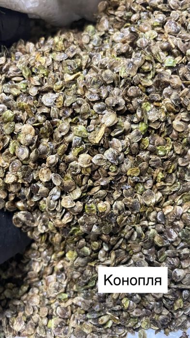 Віджате чисте насіння  | ШРОТ | МАКУХА | КЛІТКОВИНА | ЗНЕЖИРЕНЕ