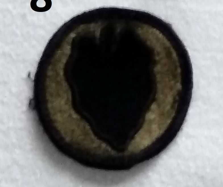 Naszywka USA Army 24th Infantry Division