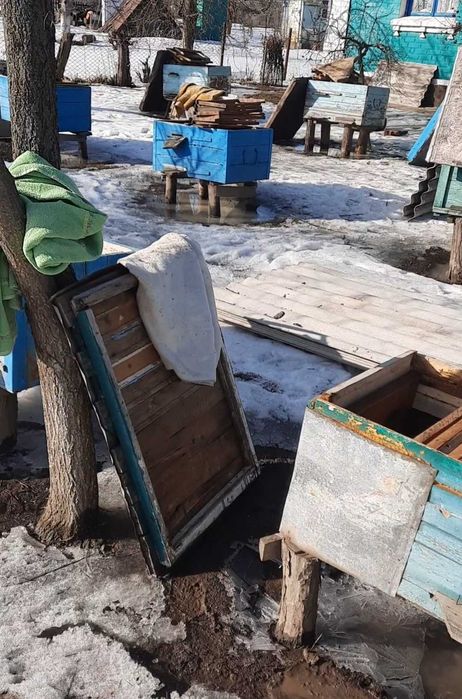 Продам вулики, медогонку та інвентар