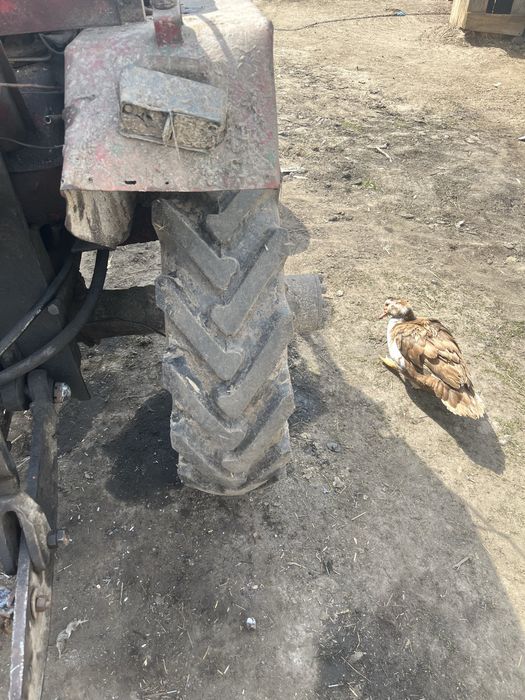 Продам саморобний трактор