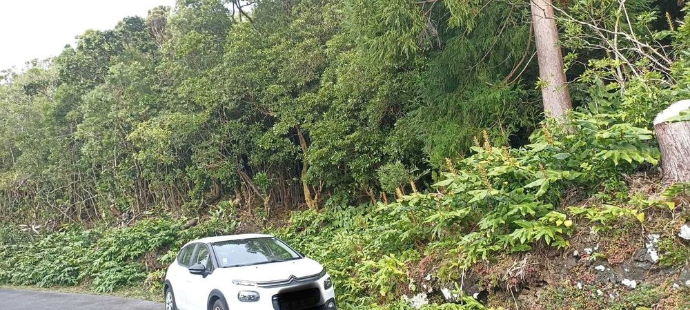 Terreno rústico 1,068 ha com acesso alcatroado — São João, Pico