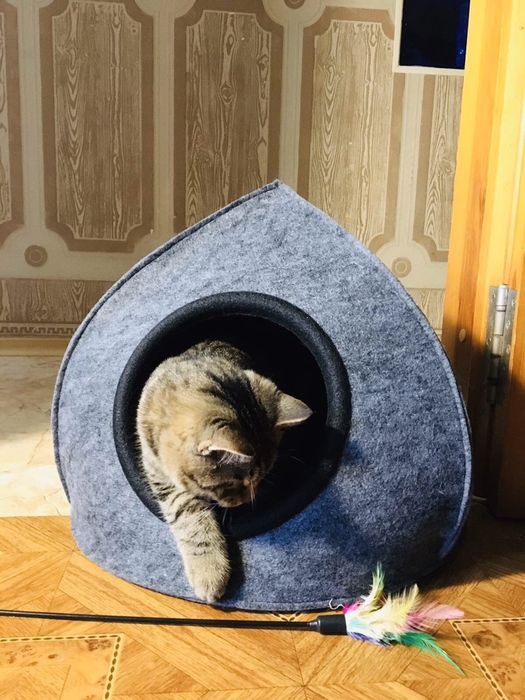 Хатинка для котиків та маленьких песиків