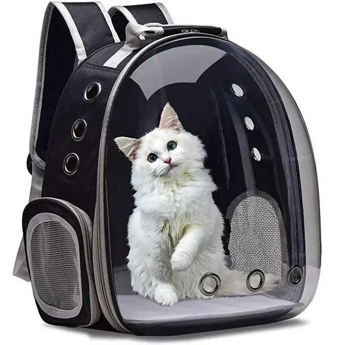 Portátil e Transparente Espaço Cápsulas, Mochila Respirável, gato