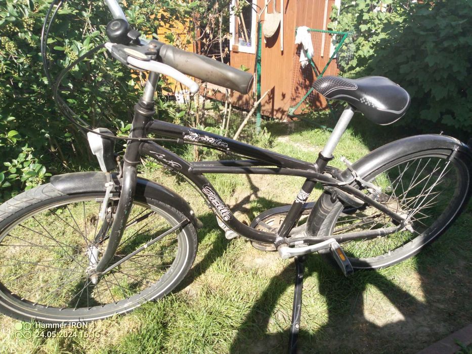 Rower Gazelle 24