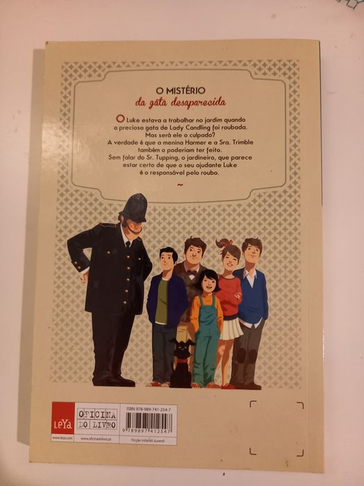 Livro- O Mistério da Gata Desaparecida de Enid Blyton
