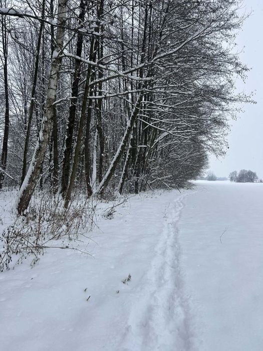 Sprzedam działke