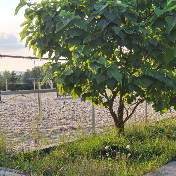 Дом по адресу ул. Капеланська (площадь 1,8 м²) - Atlanta.ua - фото 7