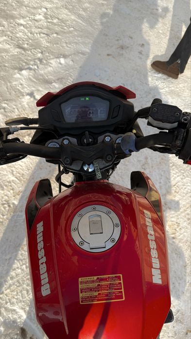 Mustang Fortuna 200-2022p