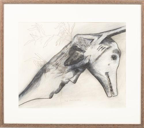 Desenho - Graça Morais