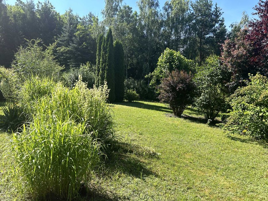 Działka budowlana nad jeziorem, Lutom (poj. Sierakowskie) - Widok 2
