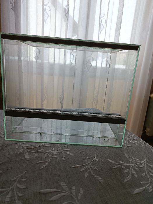 Terrarium dla patyczaków.