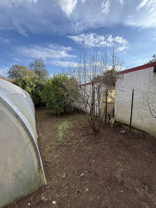 Limpeza de Terrenos , Jardinagem , Podas