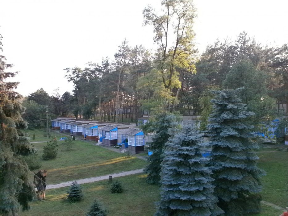 Земельна ділянка в с. Розумівка, під заміський клуб та ін.