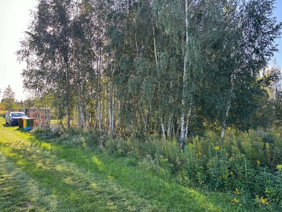 Działka pod budowe, okolica Kampinosu - Widok 4