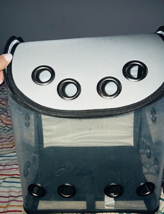 Plecak, transporter dla zwierząt