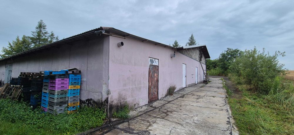 Hale do wynajęcia