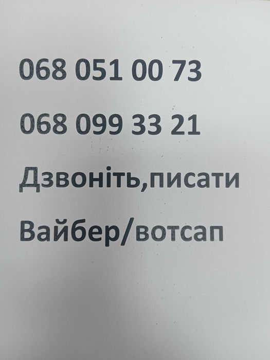 Трамп даром в добрі руки Він чекає на свою родину в притулку.