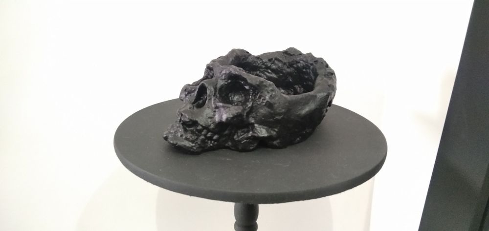 Caveira/Skull Preto