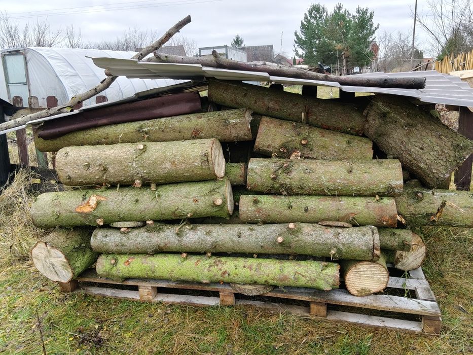 Duze worki DO WĘDZENIA drewno owocowe, LIPA SOSNA BUK kominkowe liscia