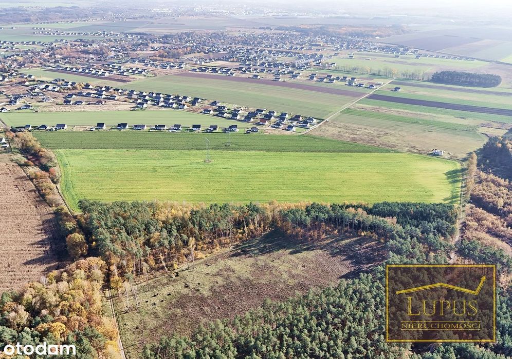 Działki budowlane w Grzędzicach