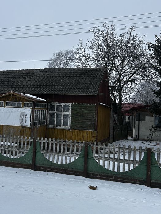 Oddam drzewo za rozbiórke