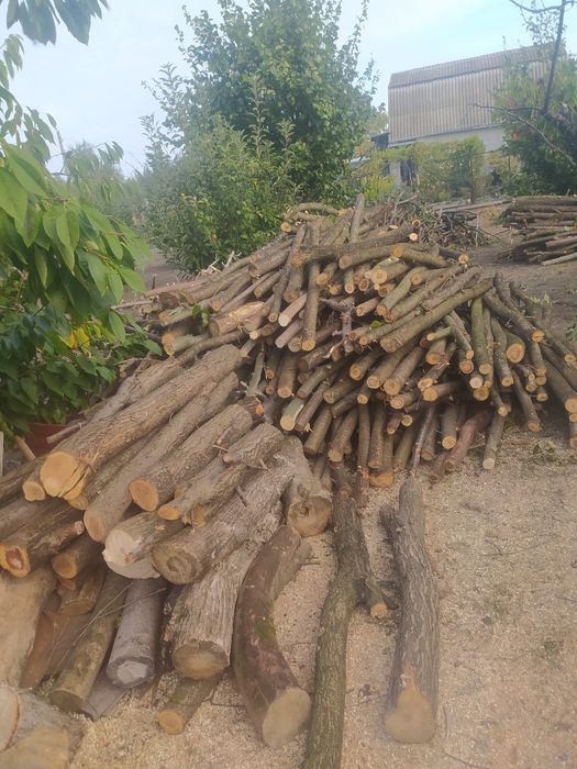 Продам дрова твердых пород рубанные.