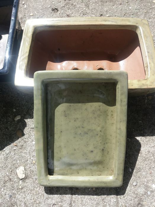 Vasos bonsai preço unitário ou conjunto